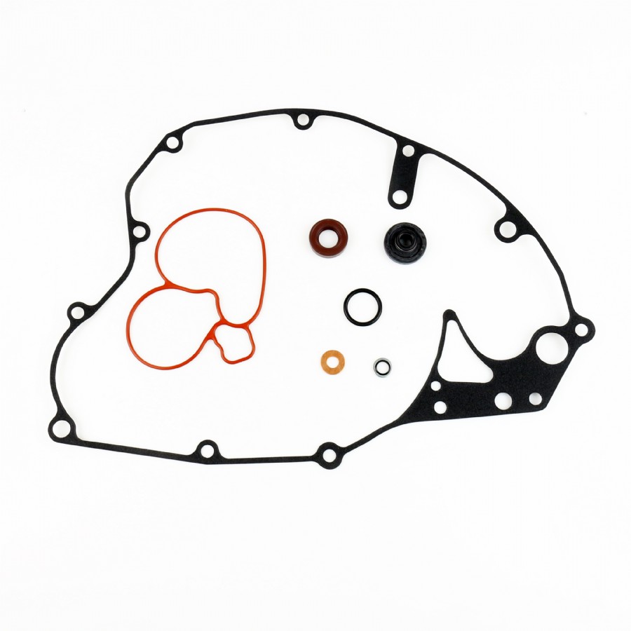 Kit guarnizioni pompa acqua (cuscinetti non inclusi) RMZ 250