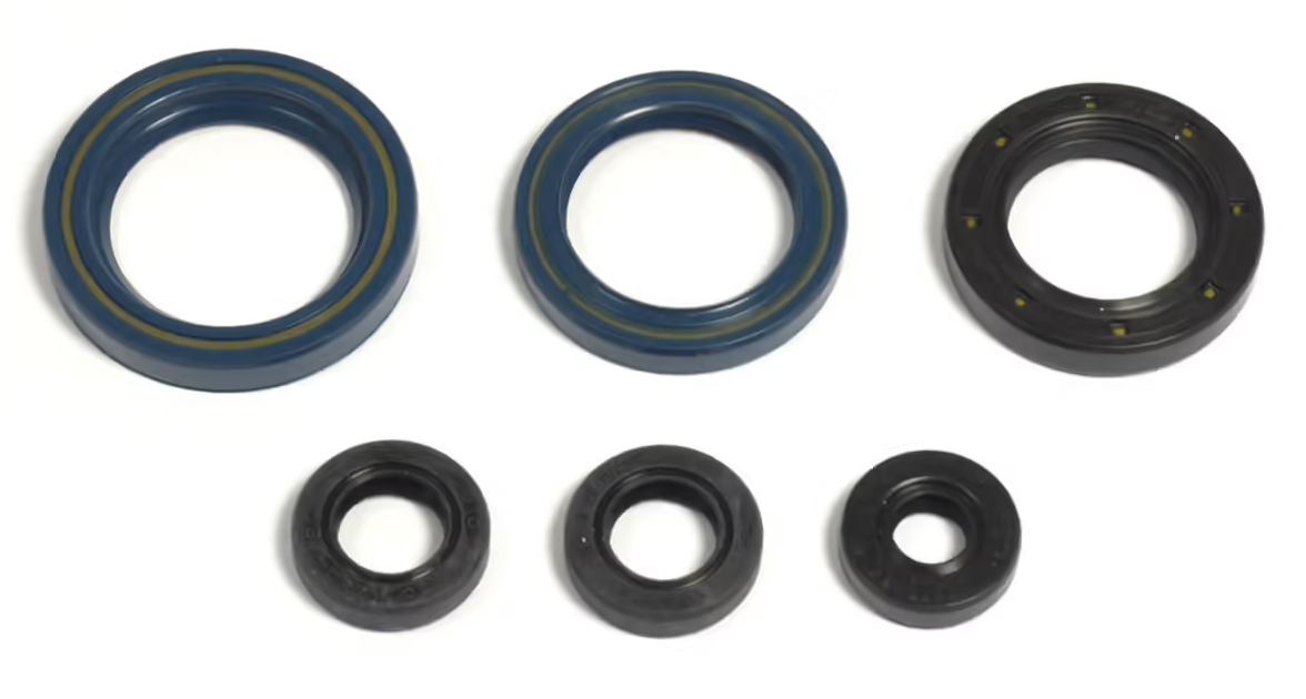 Serie paraoli motore KTM 125 GS 87-97