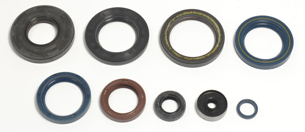 Serie paraoli motore KTM