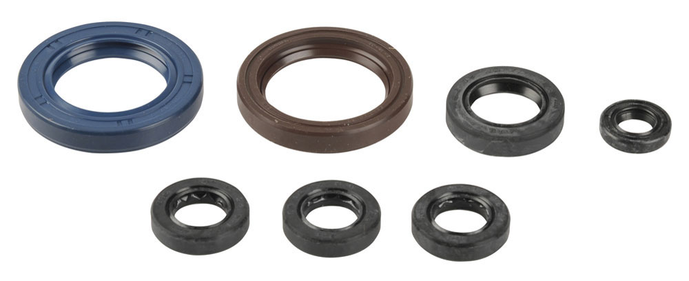 Serie paraoli motore KTM