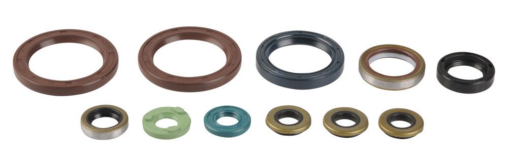 Serie paraoli motore KTM 450 SX-F 07-12