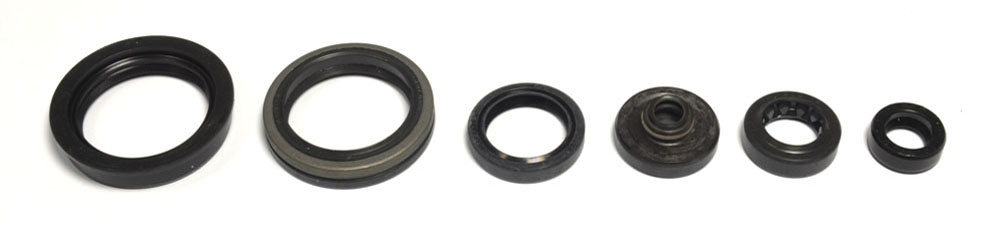 Serie paraoli motore RMZ 450 05-07