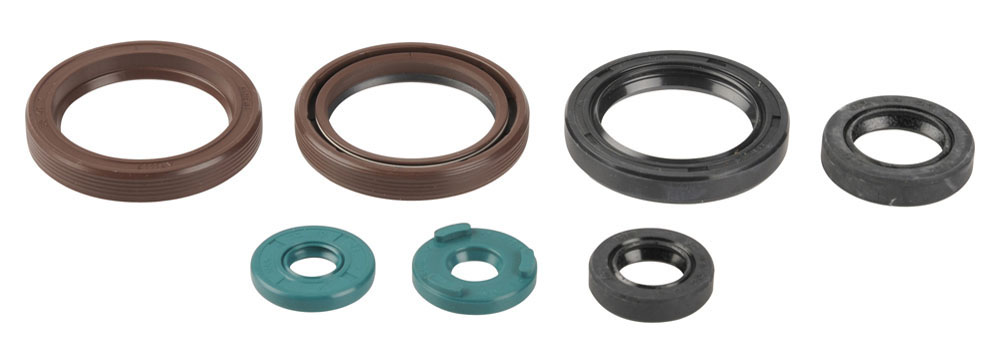 Serie paraoli motore KTM 450/530 EXC 09-11