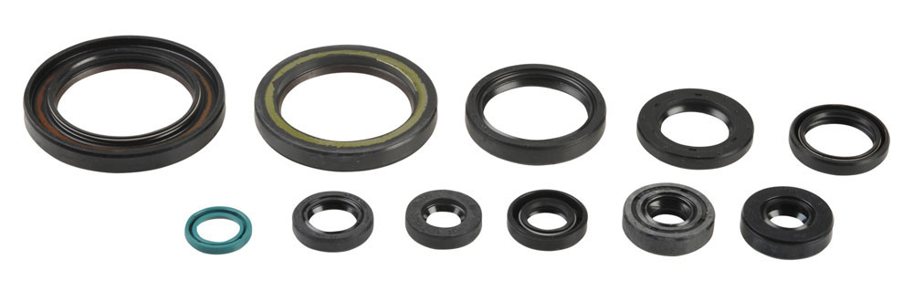 Serie paraoli motore CRF 450 R/X