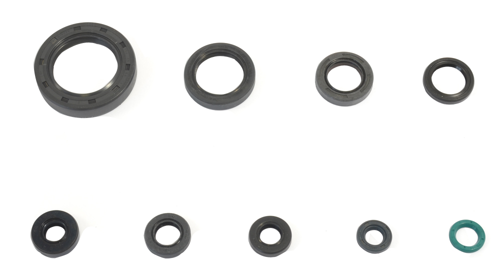 Serie paraoli motore CR 250 84