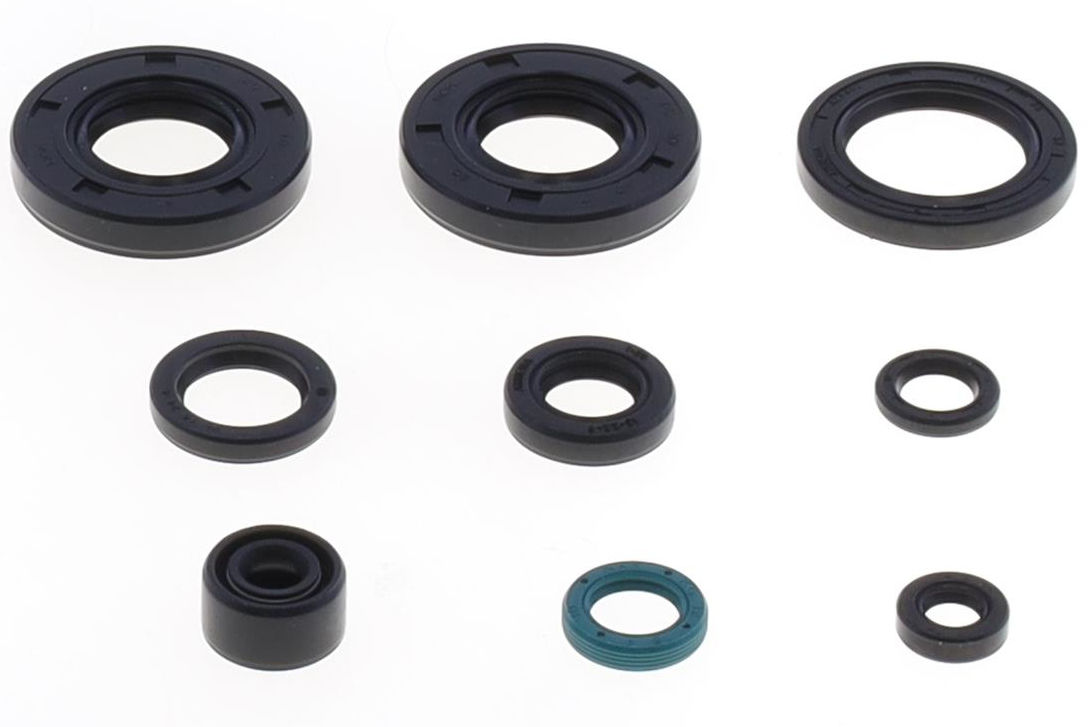 Serie paraoli motore KX 80/85