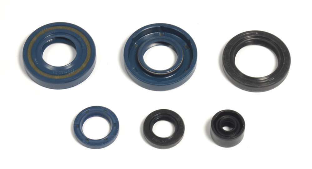 Serie paraoli motore KX 60 85-03