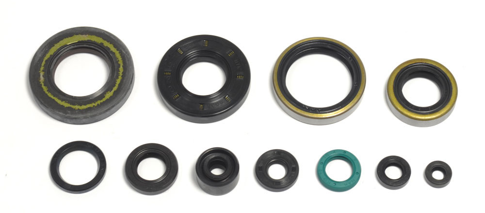 Serie paraoli motore KX 250 95-04