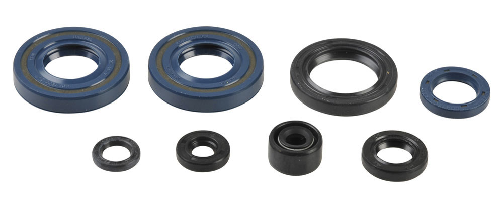Serie paraoli motore KX 65