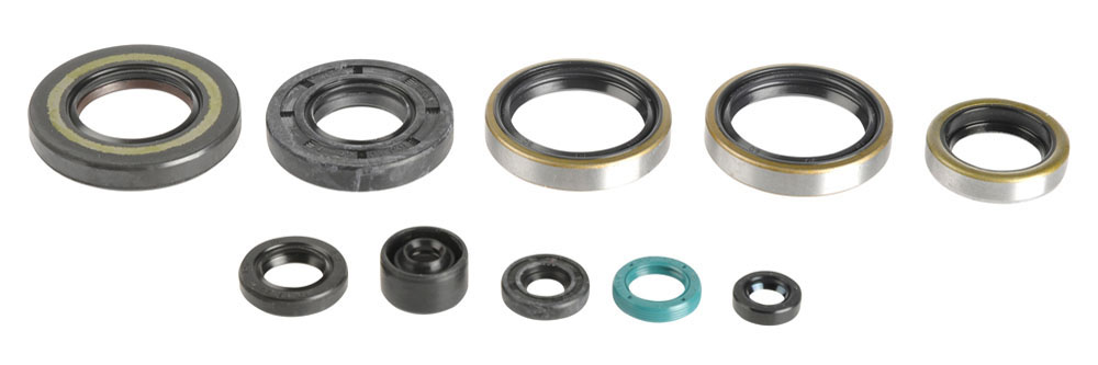 Serie paraoli motore KX 250 05-08