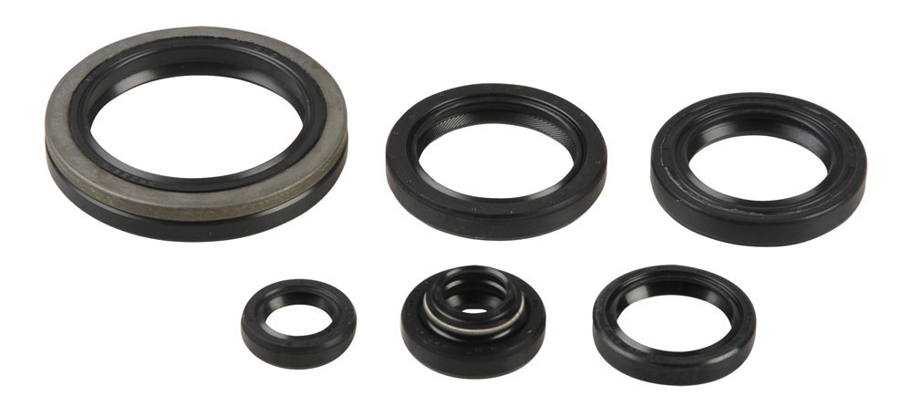 Serie paraoli motore RM 250 96-02
