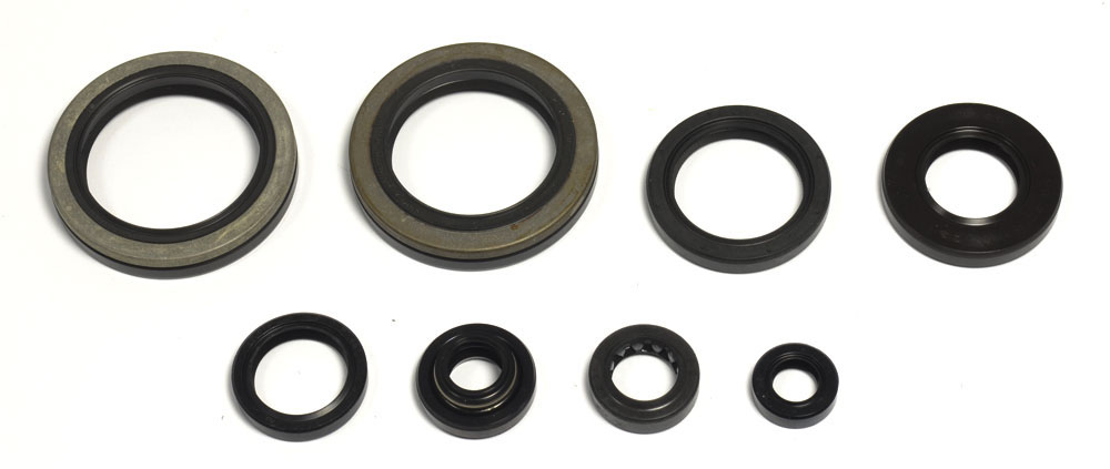 Serie paraoli motore RM 250 93-95