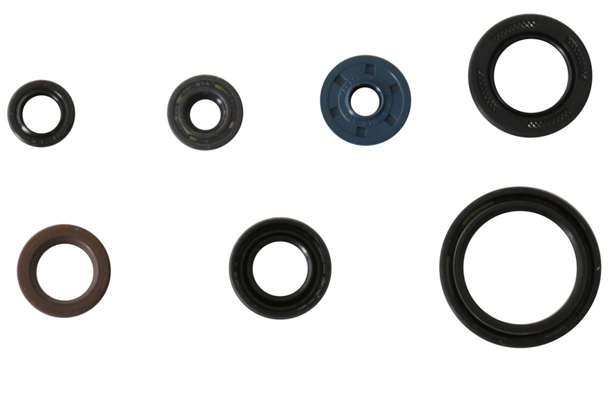 Serie paraoli motore WR/YZ 250 F