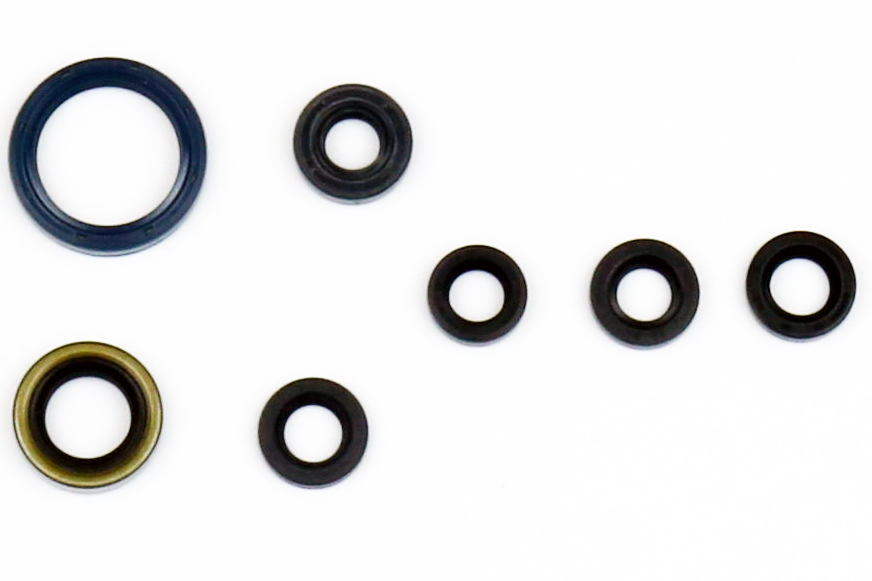 Serie paraoli motore KX 450 F 16-18