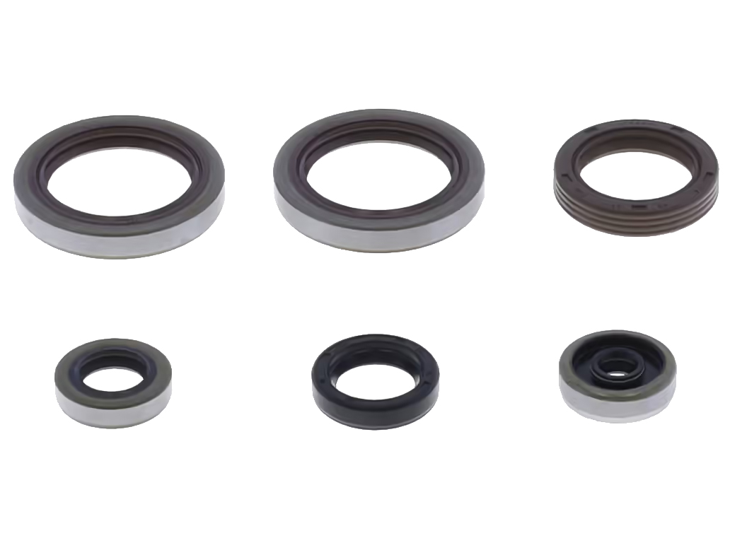 Serie paraoli motore BETA RR 125 2T