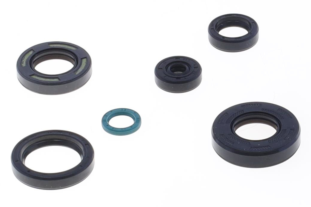 Serie paraoli motore TM EN/MX 125 12-14