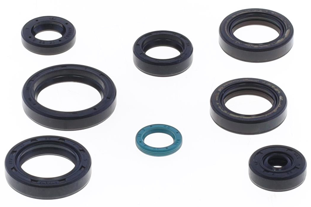 Serie paraoli motore TM EN/MX 125 15-24