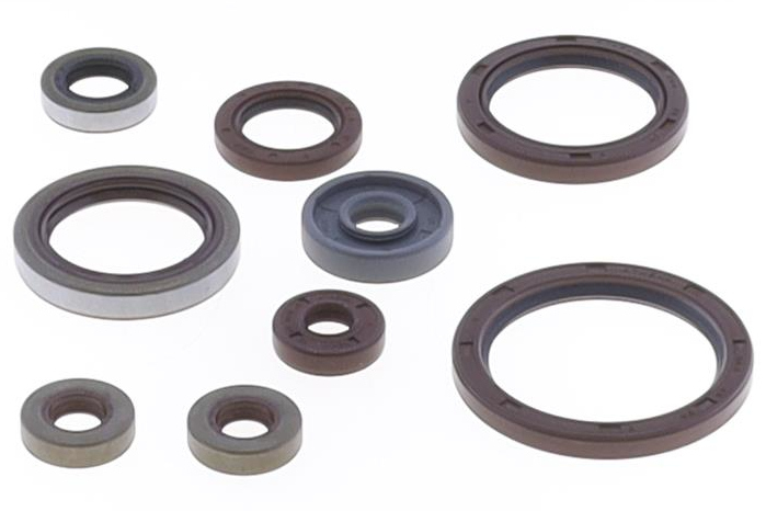 Serie paraoli motore BETA RR 350/390