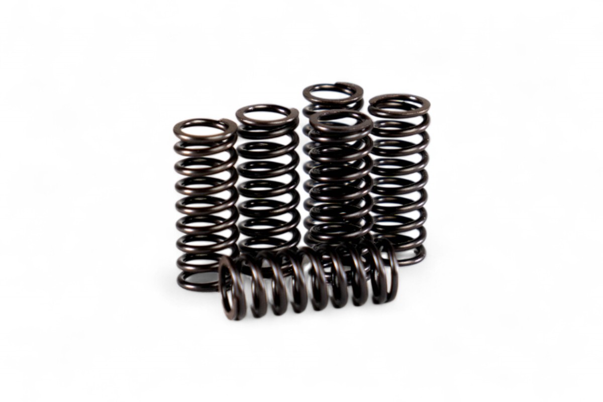 Kit molle frizione rinforzate RM 250 06-12