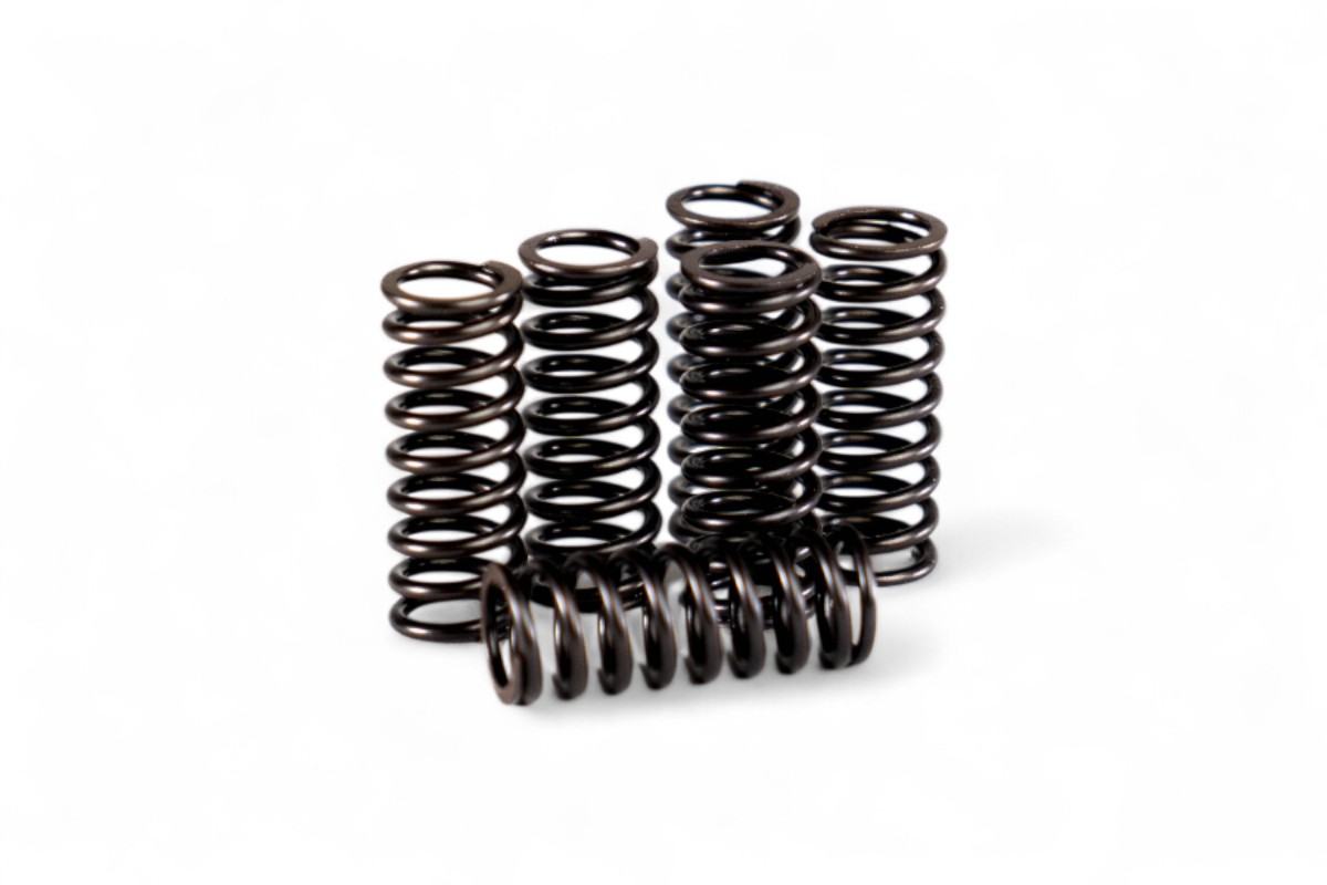 Kit molle frizione rinforzate CRF 150 R