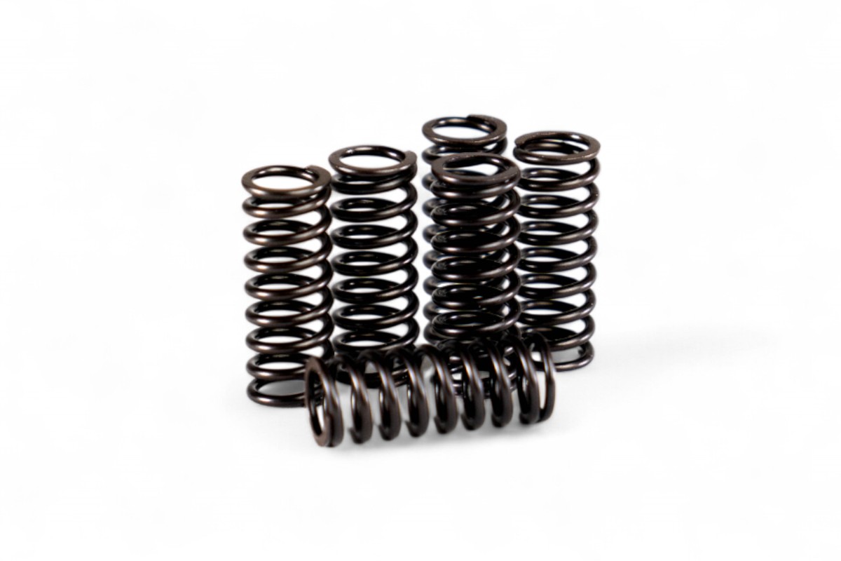 Kit molle frizione rinforzate RMZ 250