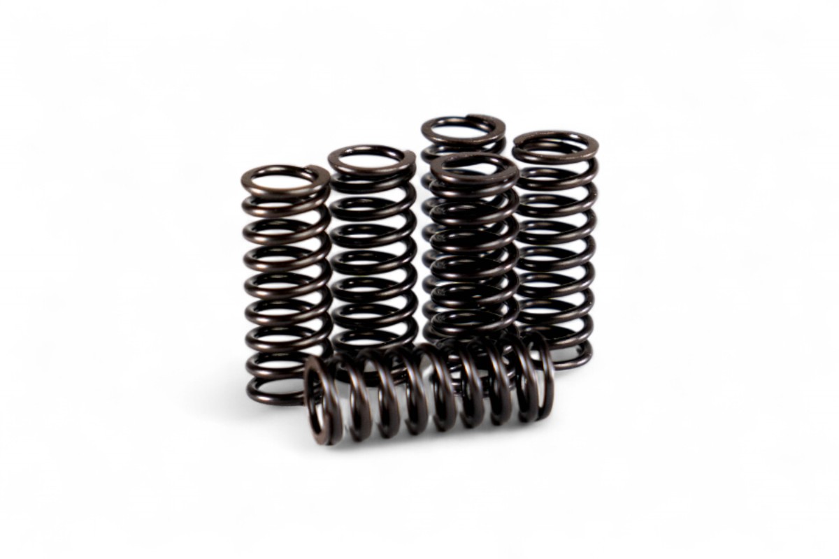 Kit molle frizione rinforzate CRF 450 R 13