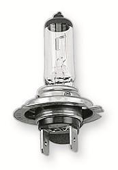 Lampadine HERT 55W PX26d (10 pezzi)
