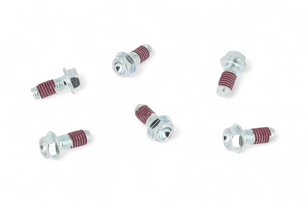 Viti HAAN WHEELS per disco freno (6 pezzi)