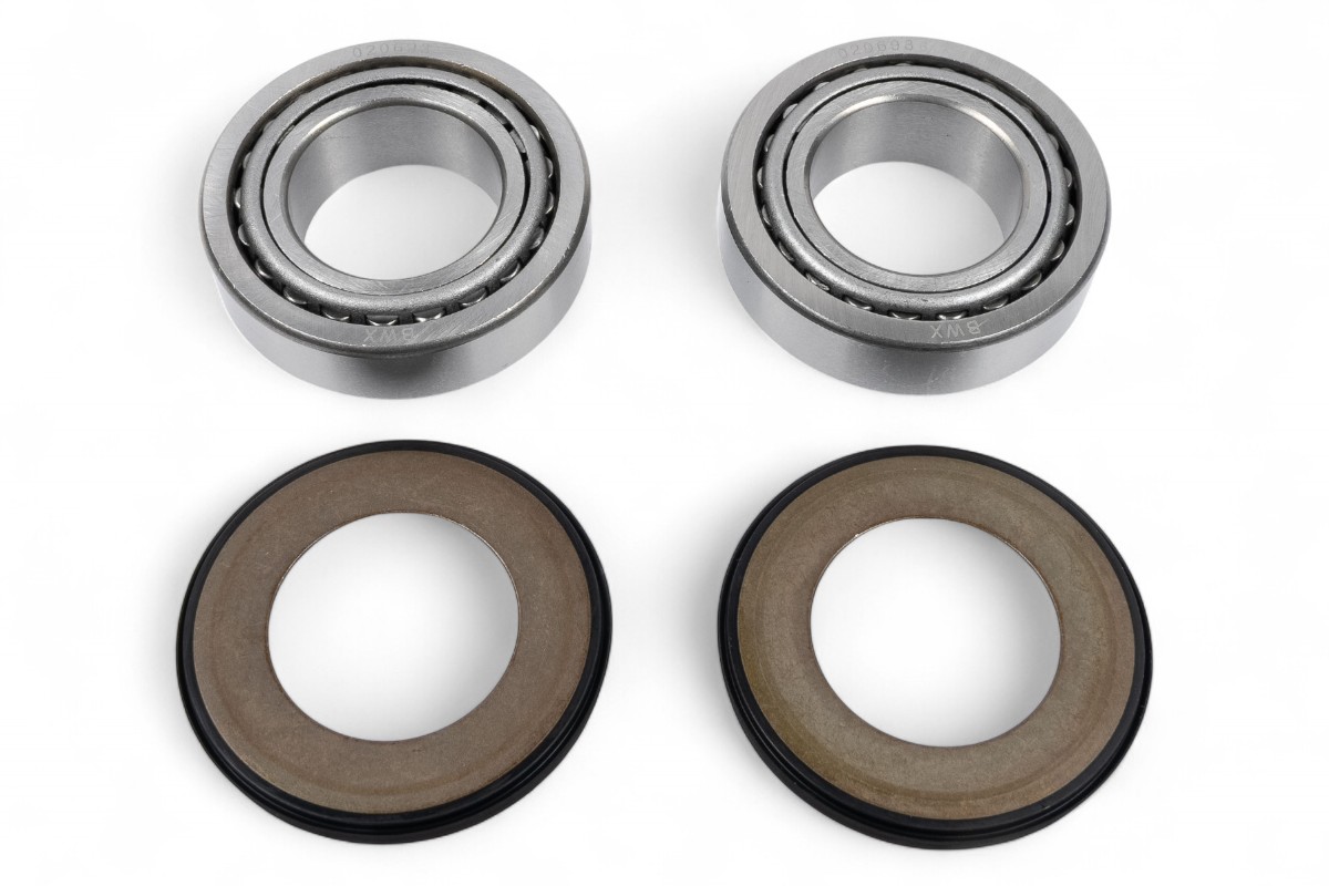 Kit cuscinetti sterzo BWX - TM EN 125/250/300 98-01